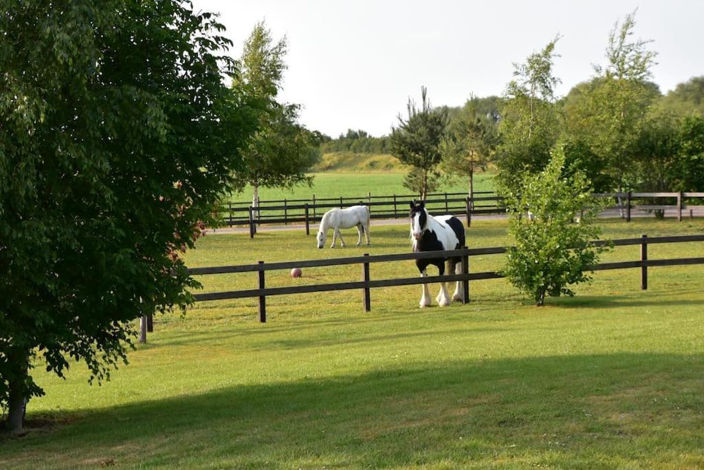 18Th Century 3 Bed Barn- Beautifully Converted Villa Frithville Exterior photo